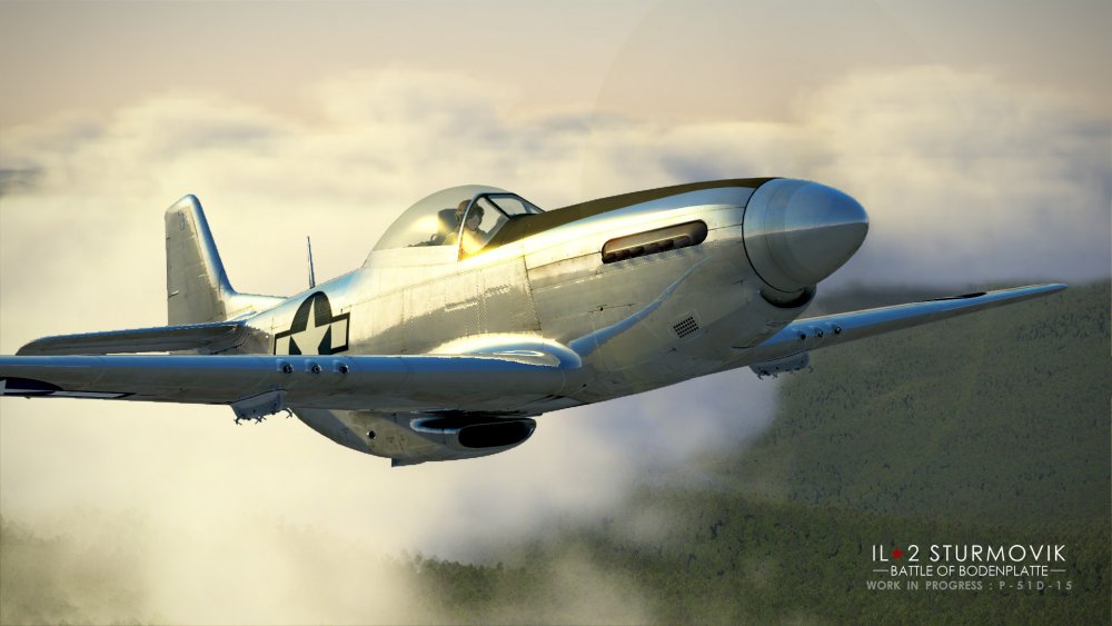 P51_1.jpg.3d8fa0309383ff3ba2aa3291a79c6c7a.jpg