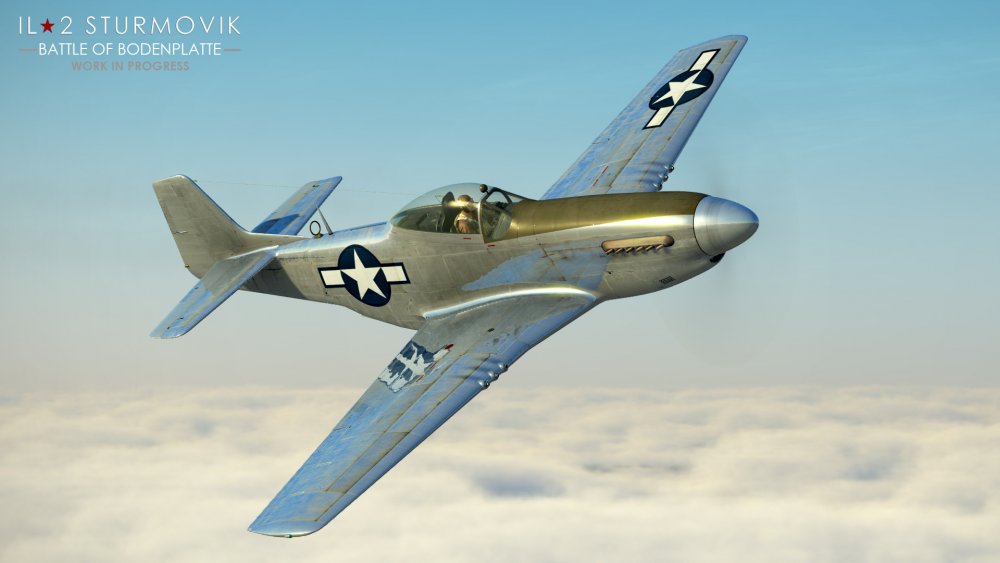 P-51_1.jpg.0e7c7819990575fc168dcce377133f7f.jpg