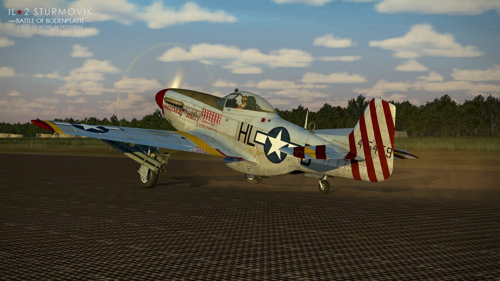 P-51_1.jpg.edb8ddf925647ee679133dab4ad50ee0.jpg